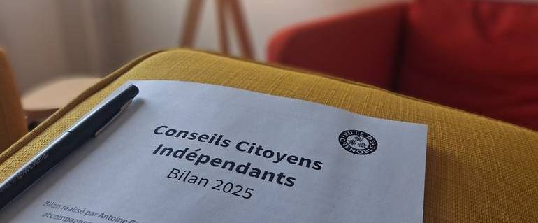 Image de l'actualité Instances consultatives : bilan des conseils citoyens indépendants