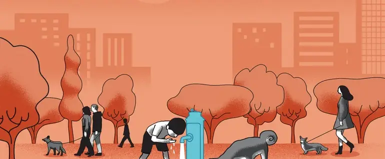 Illustration de : Les fontaines à partager